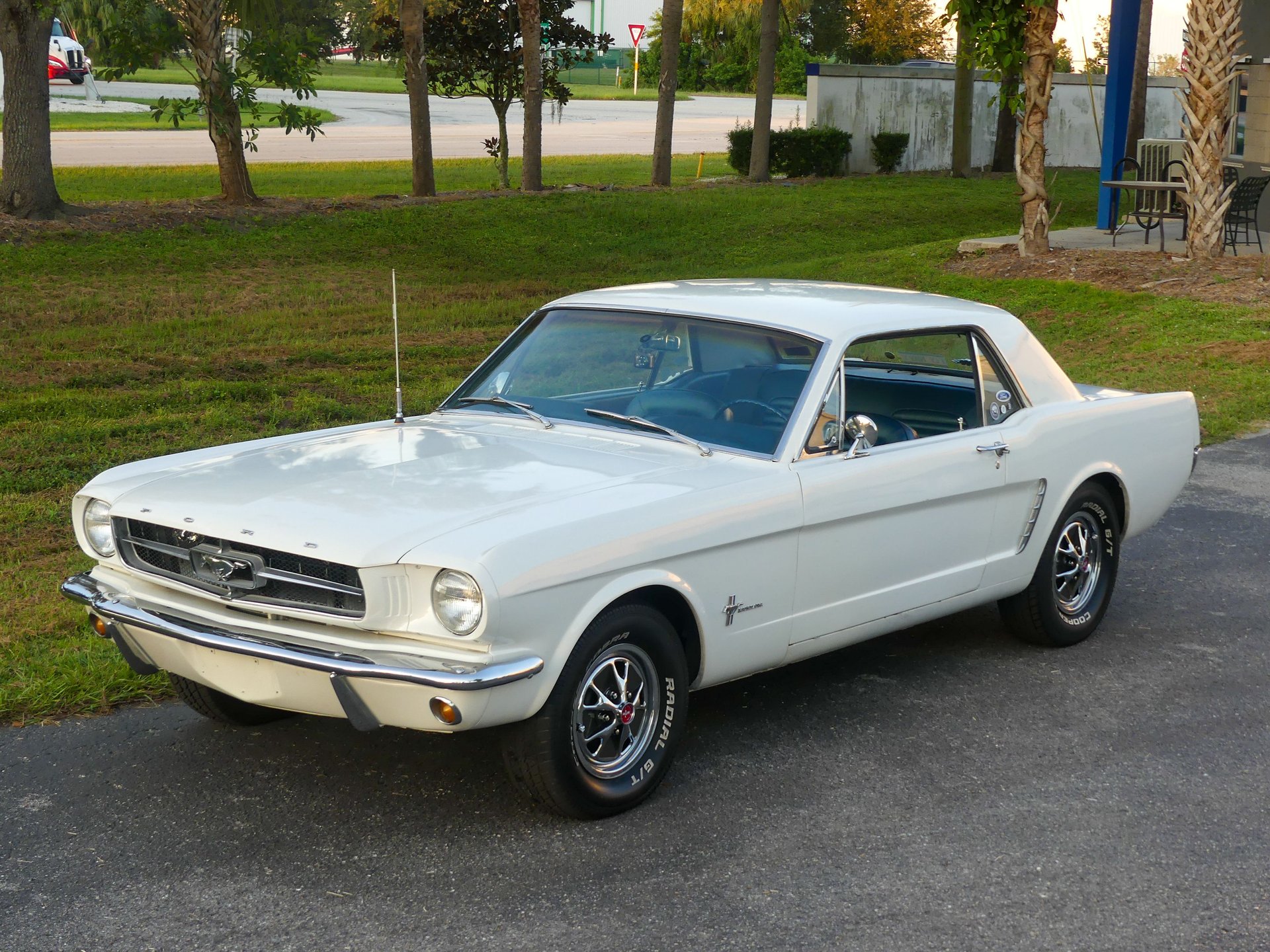 1965-ford-mustang-qotuag3v