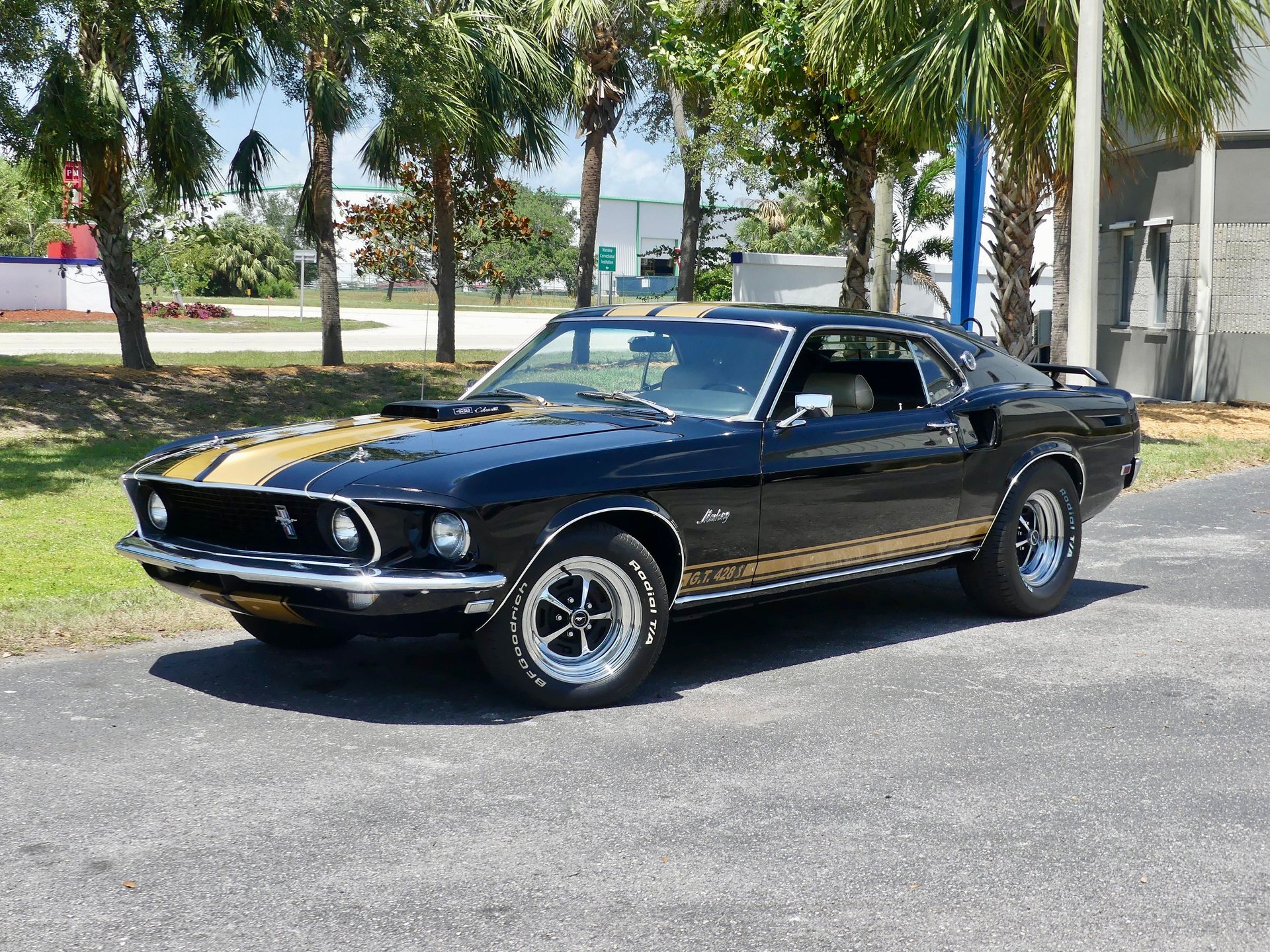 1969-ford-mustang-gt-ldjujwve