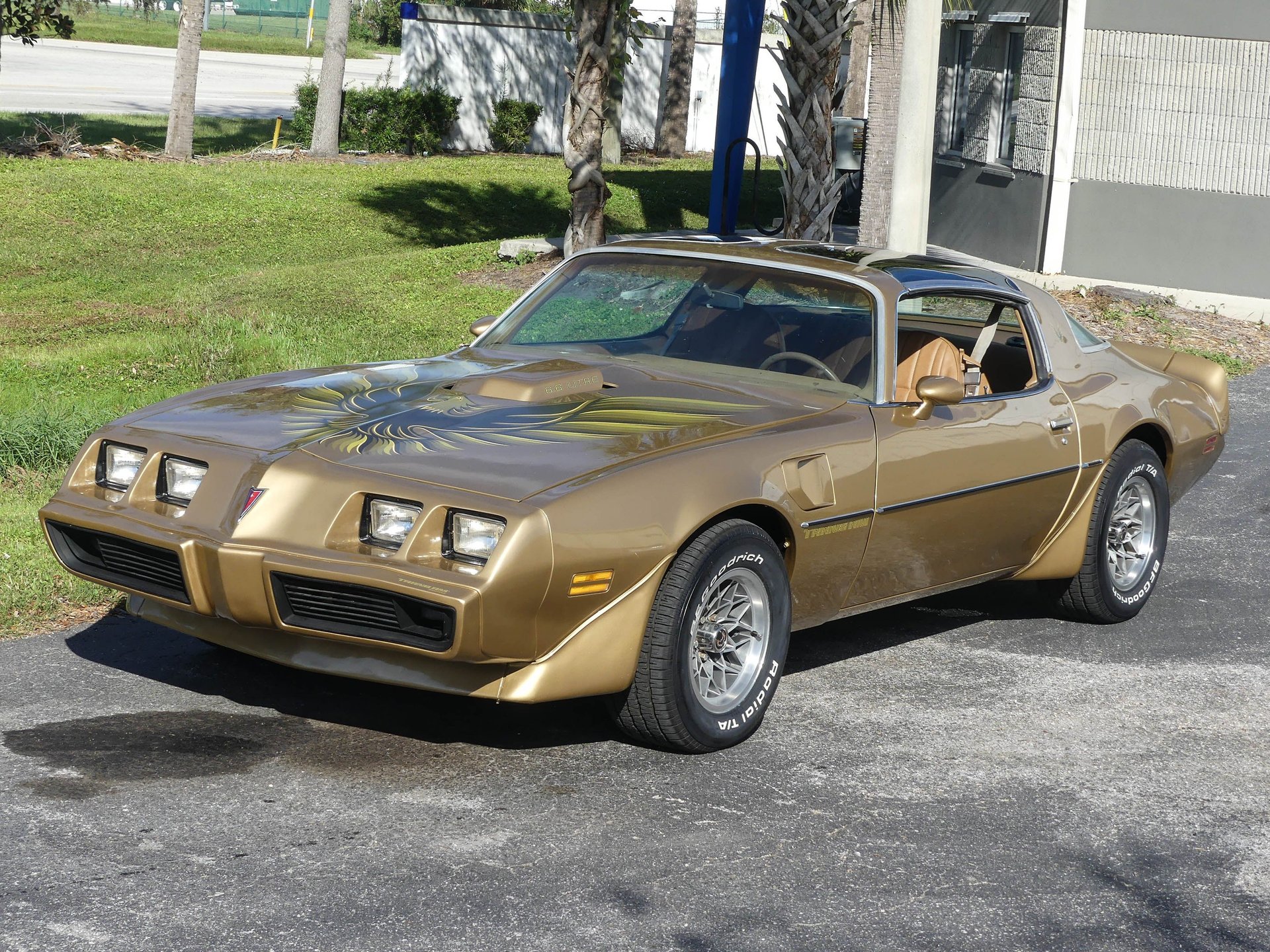 1979-pontiac-trans-am-xydmpz1i